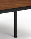Pastoe Credenza | FINAL SALE