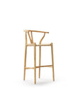 Wish Bar Stool | FINAL SALE