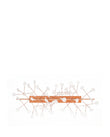 Heracleum Linear III Ceiling Light | FINAL SALE