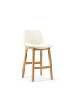 LeBlanc Counter Stool