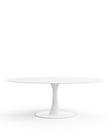 Aarhus Oval Dining Table, 77
