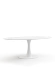 Aarhus Oval Dining Table, 77