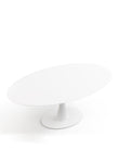 Aarhus Oval Dining Table, 77