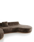 The Organic Curved Sectional Sofa