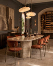 Dining Chairs Metaphores Dining Chair