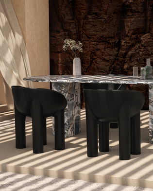 Roly Poly Indoor/Outdoor Dining Chair